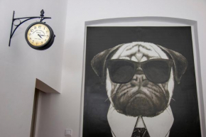 Mops Bob Apartment